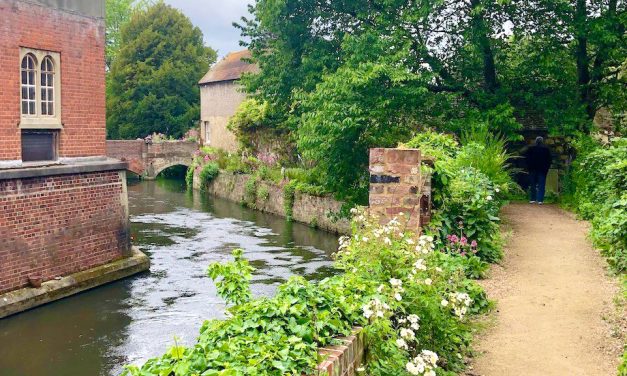 Canterbury’s historic Franciscan Gardens will remain closed for 2024 for repair